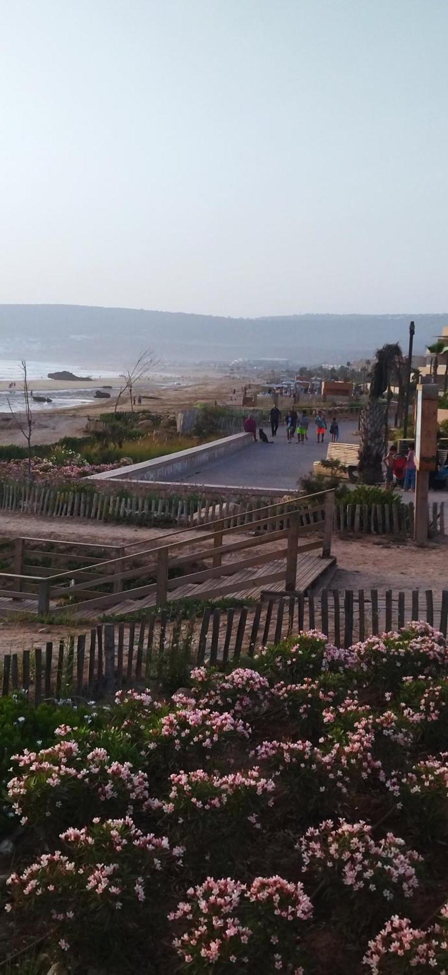 Appart Oubaha Tamrakht Taghazout Αγκαντίρ Δωμάτιο φωτογραφία
